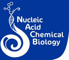 Nucleic Acid Chemical Biology (NACB) Symposium