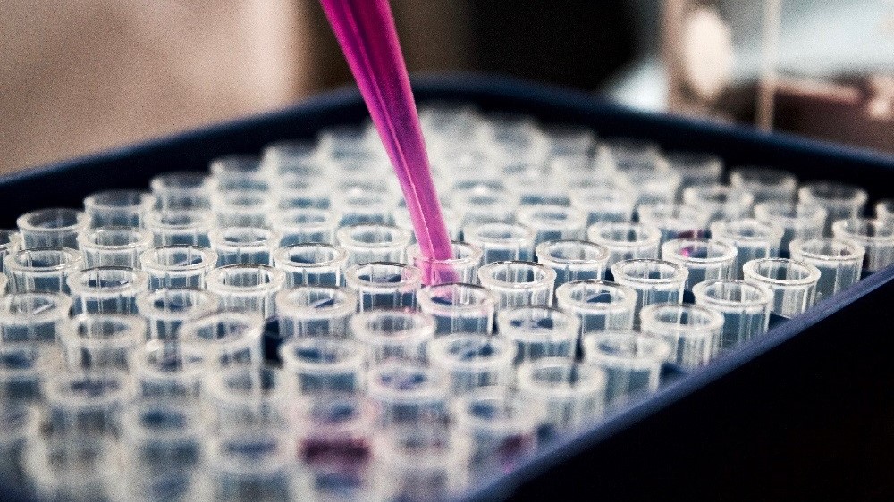 Kiwi scientists develop powerful melanoma research tool