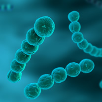 Infectious Diseases