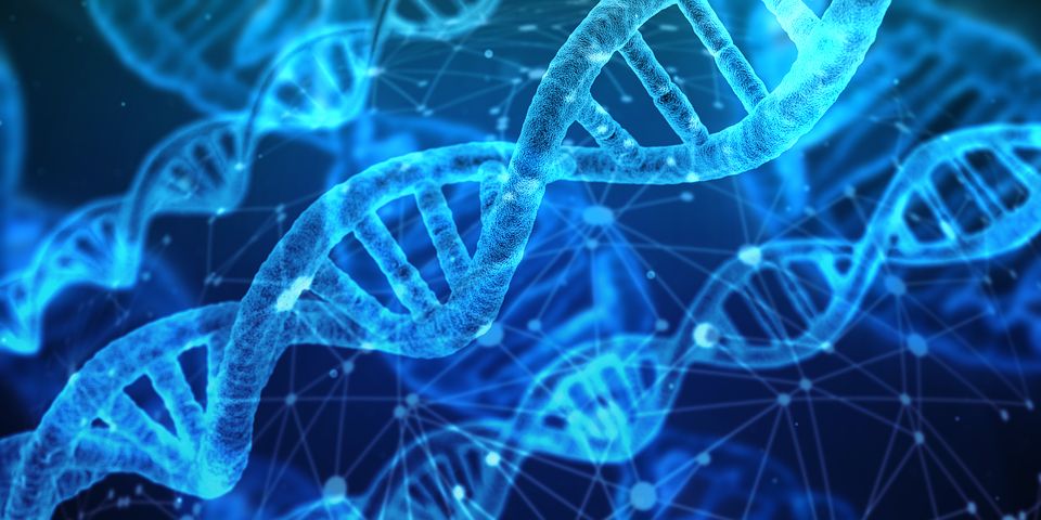 Dual approach drives precision medicine