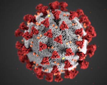 MWC network plays key role in national response to COVID-19 pandemic