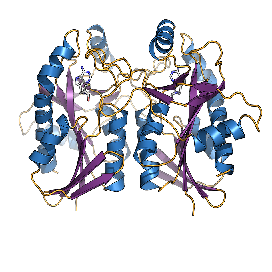 Smarter drug design