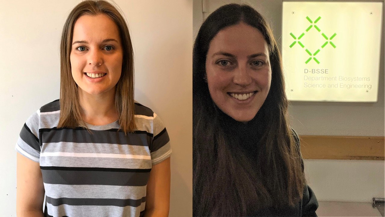 Early career researchers spread their wings